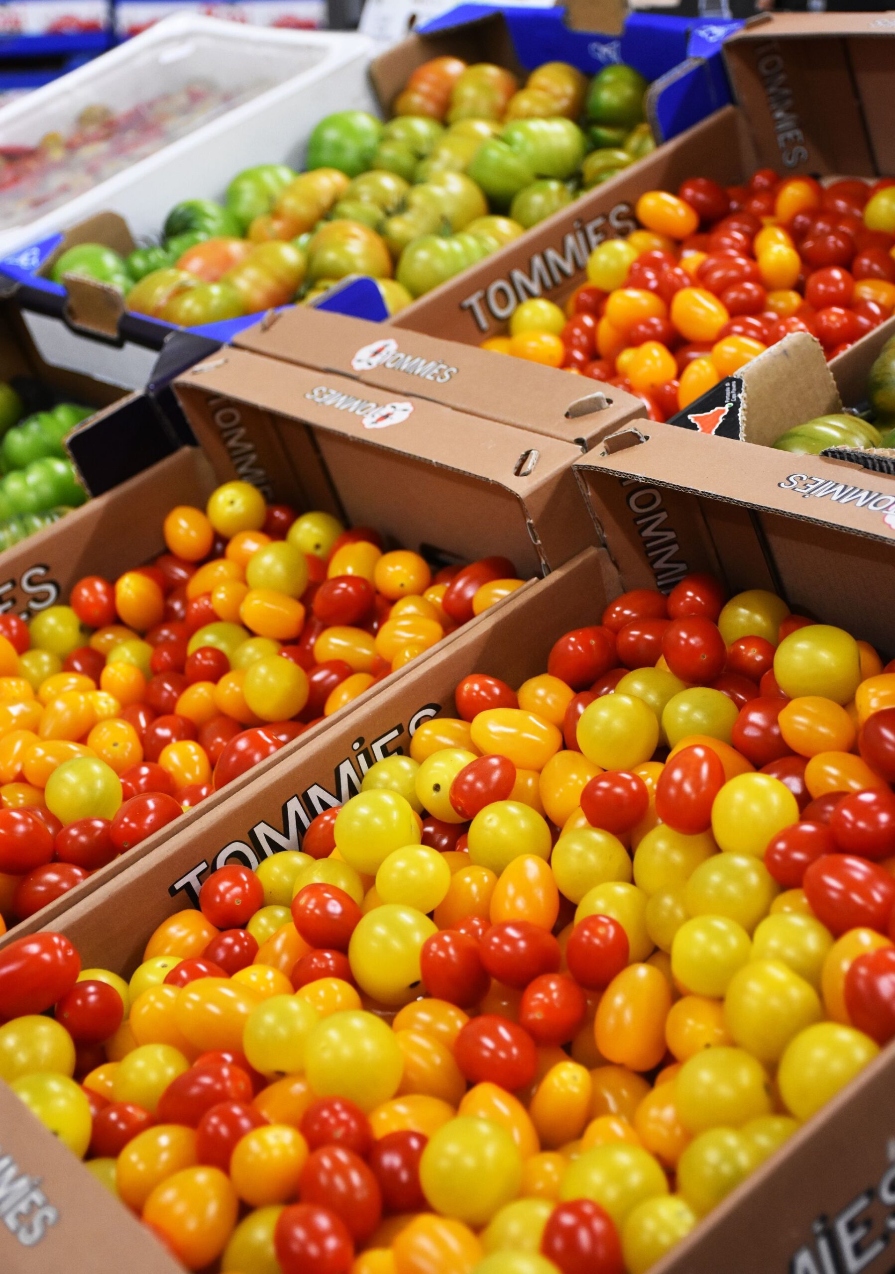 Frisches Obst und Gemüse